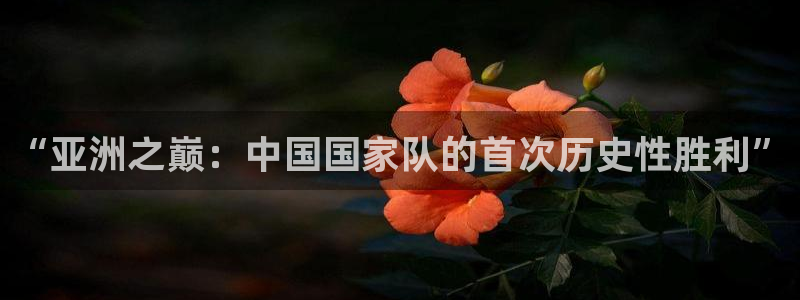 世界杯预选赛2026:“亚洲之巅:中国国家队的首次历史性胜利”