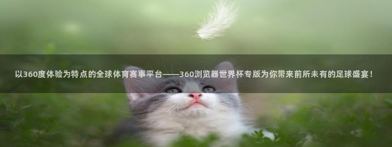 世界杯对阵图2026:以360度体验为特点的全球体育赛事平台——360浏览器世界杯专版为你带来前所未有的足球盛宴!