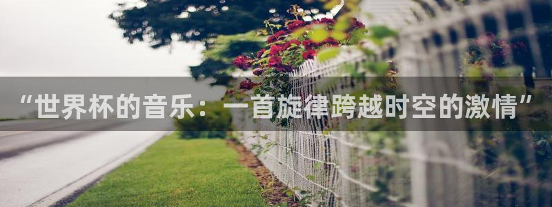 足球世界杯赛程:“世界杯的音乐:一首旋律跨越时空的激情”