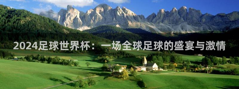 足球世界杯预选赛:2024足球世界杯:一场全球足球的盛宴与激情