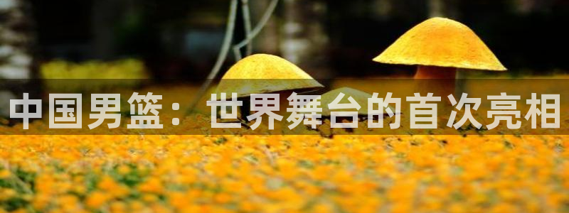 世界杯时间:中国男篮:世界舞台的首次亮相
