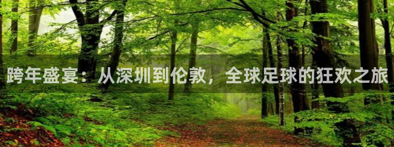 足球世界杯2026:跨年盛宴:从深圳到伦敦,全球足球的狂欢之旅