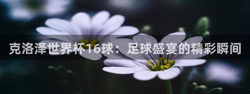 2026世界杯32强对阵图表:克洛泽世界杯16球:足球盛宴的精彩瞬间