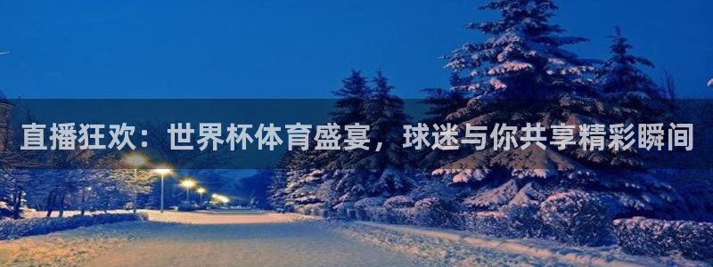 2006世界杯:直播狂欢:世界杯体育盛宴,球迷与你共享精彩瞬间