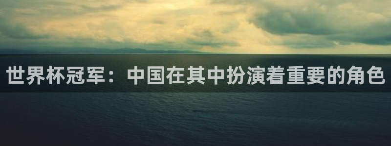 世预赛直播:世界杯冠军:中国在其中扮演着重要的角色